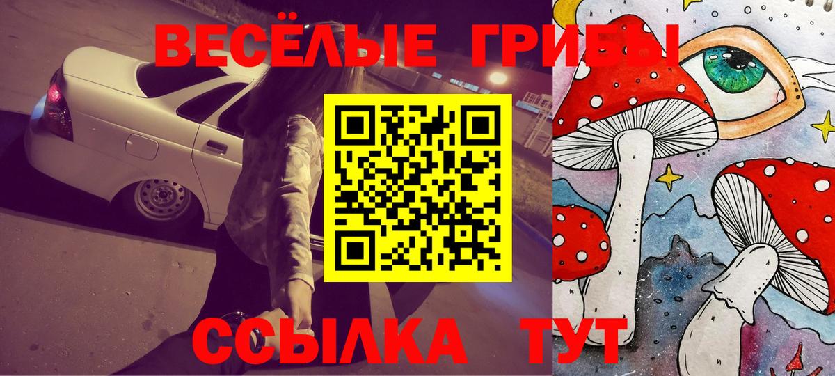 Ревда  Галлюциногенные грибы GOLDEN TEACHER  Вход с VPN  Псилоцибиновые грибы Psilocybe 